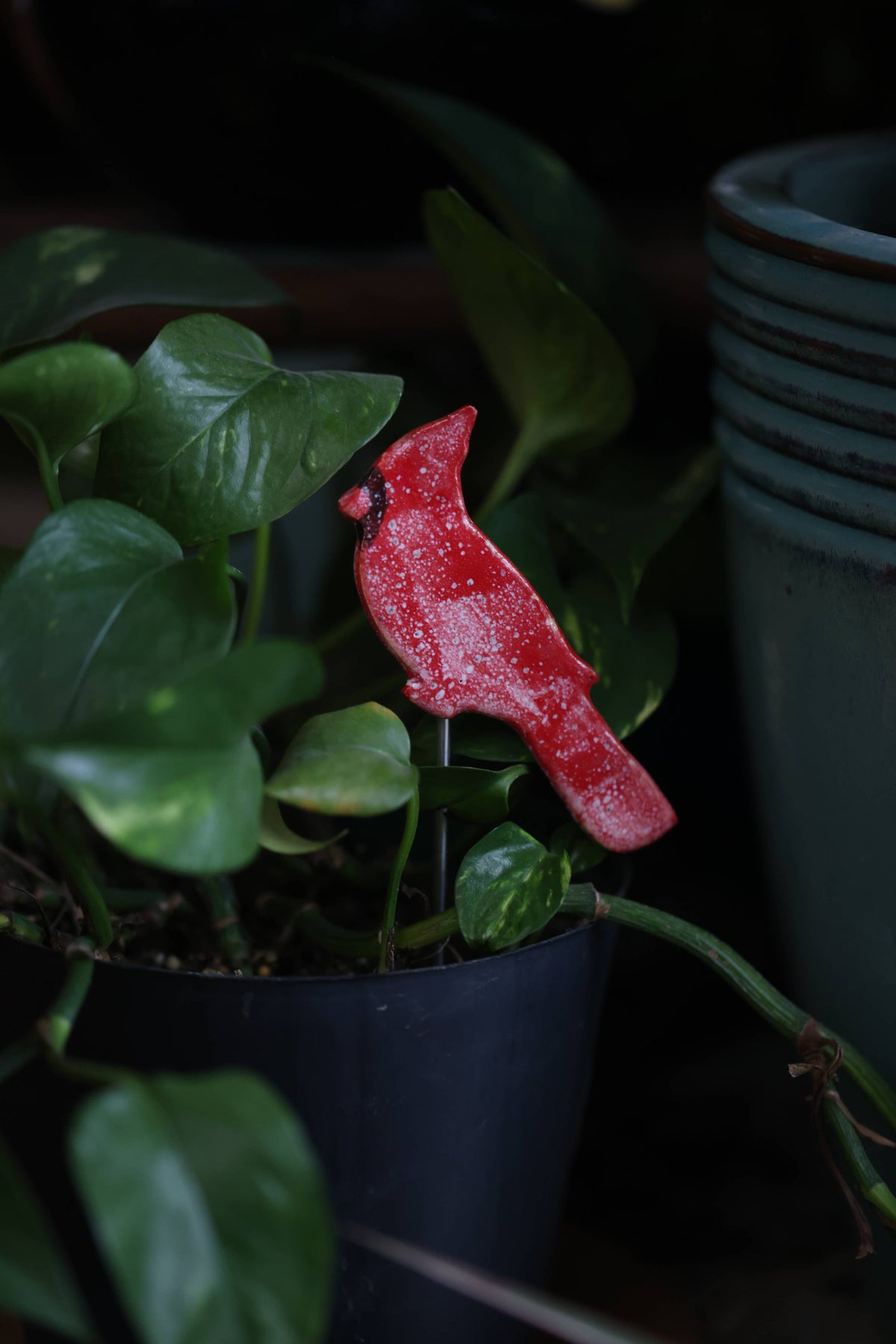 Plant Stake - Cardinal | Bird