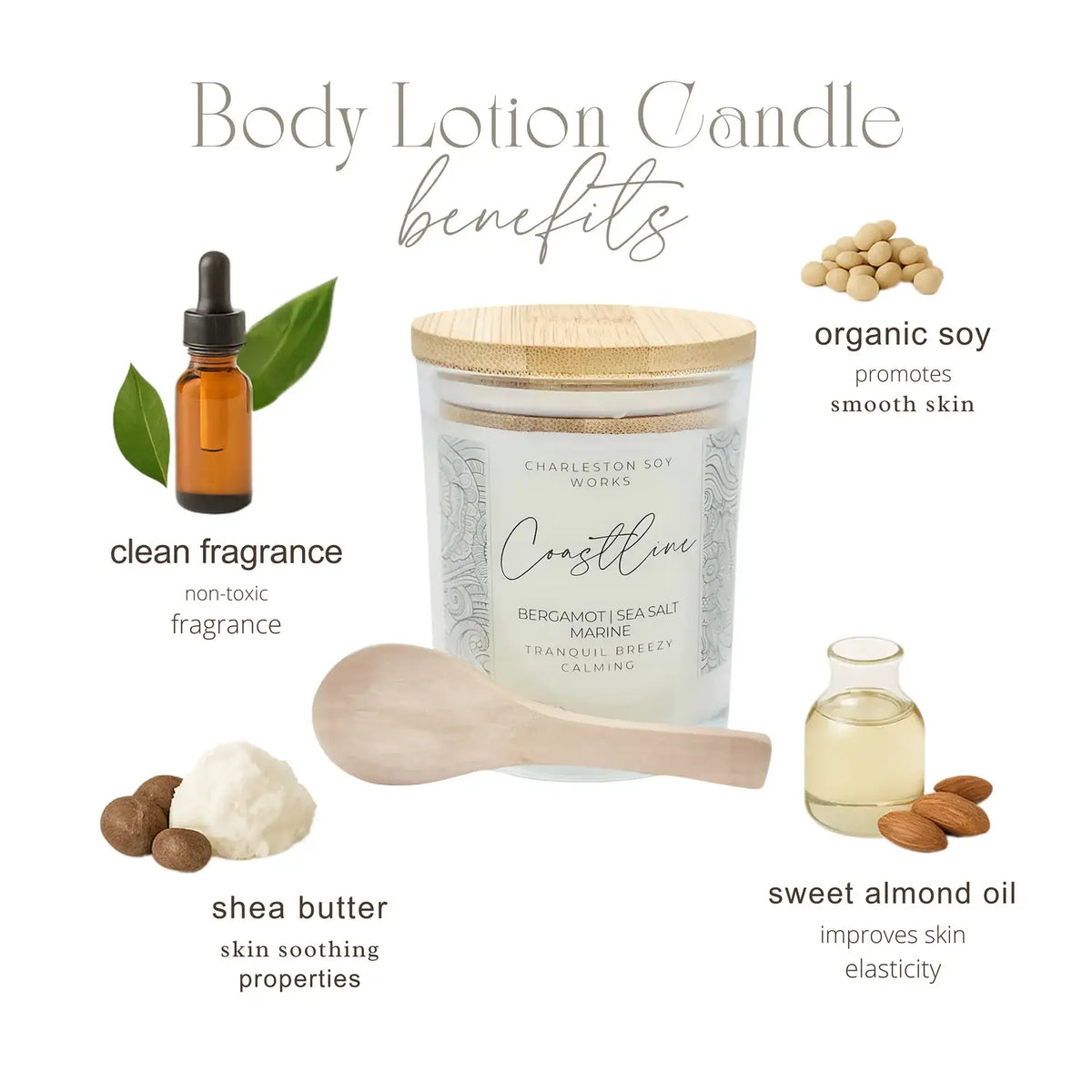Lotion Candle - Palmetto Prosecco
