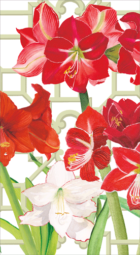Guest Towels/Hostess Napkins - Amaryllis Conservatory