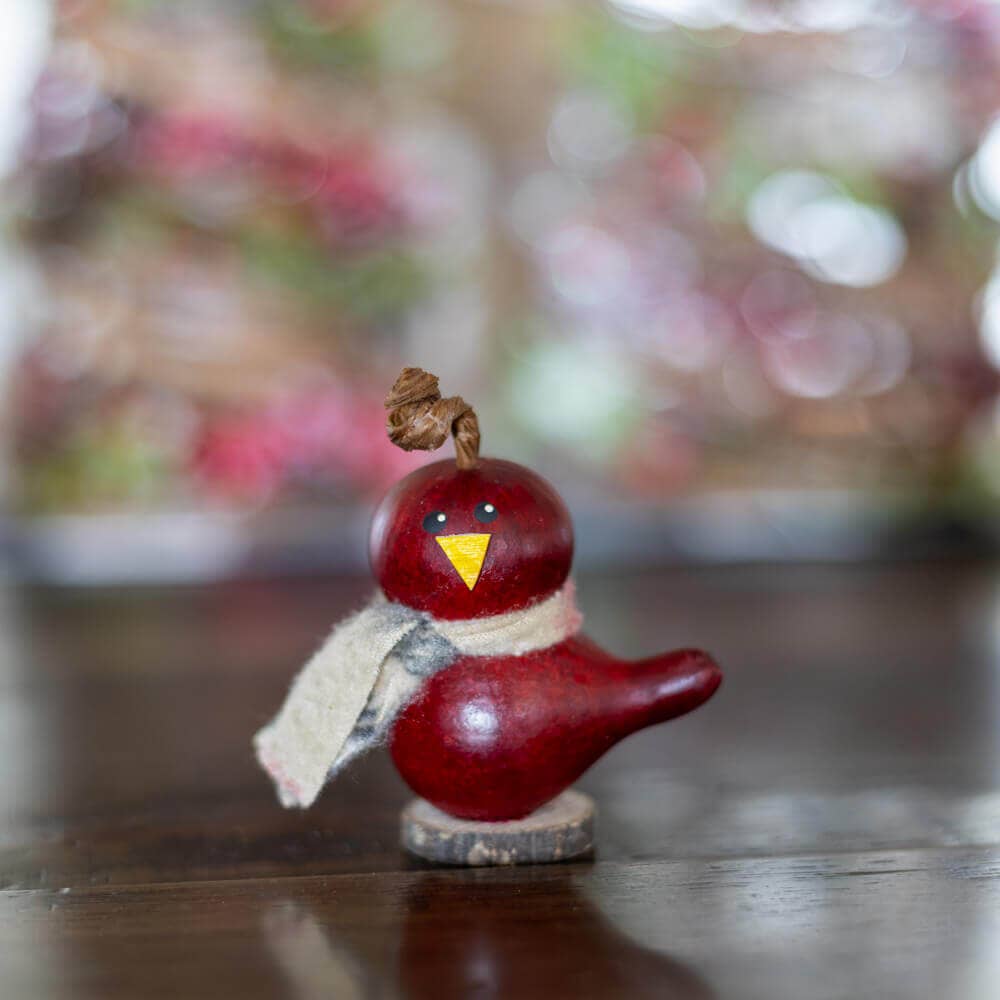 Gourd: Bird - Lil Red with Scarf