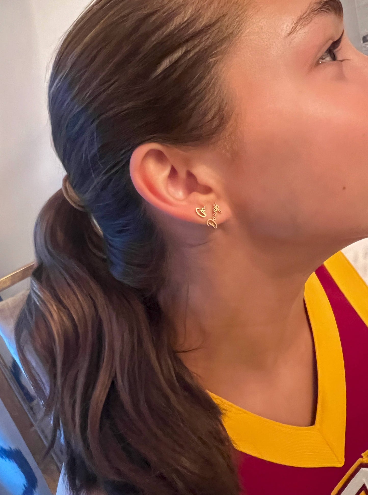 UGA Stud Earrings - Go Dawgs
