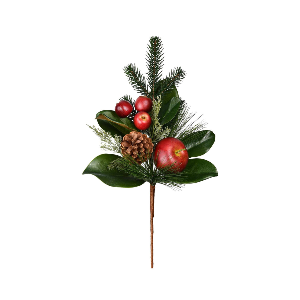 Botanical - Magnolia and Apple Stem - 19 Inch