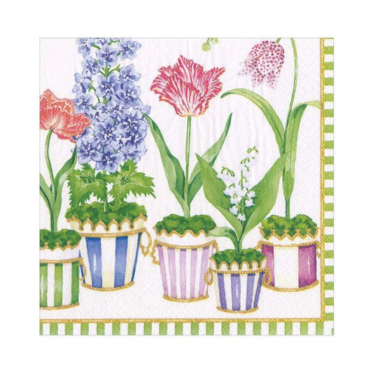 Cocktail Napkins - Window Garden