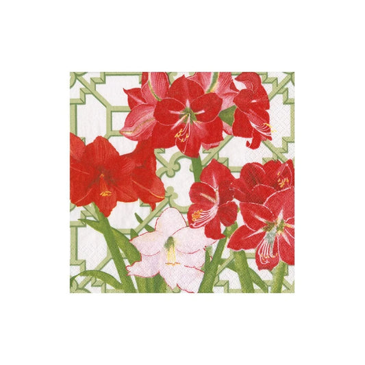 Cocktail Napkins - Amaryllis Conservatory