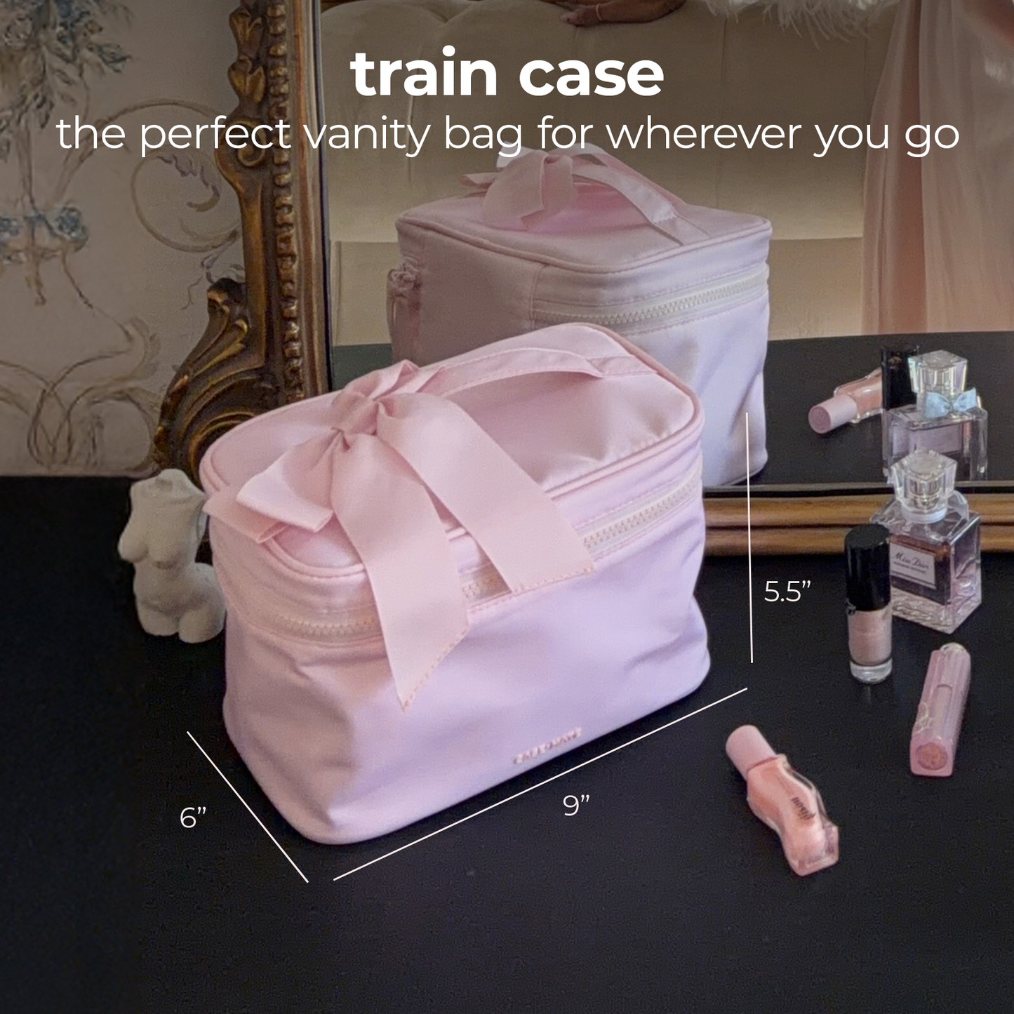 Train Case - Ballet Pink