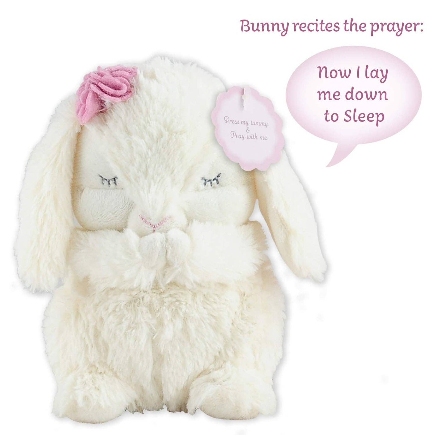 Stuffed Animal + Book - Everybunny Prays