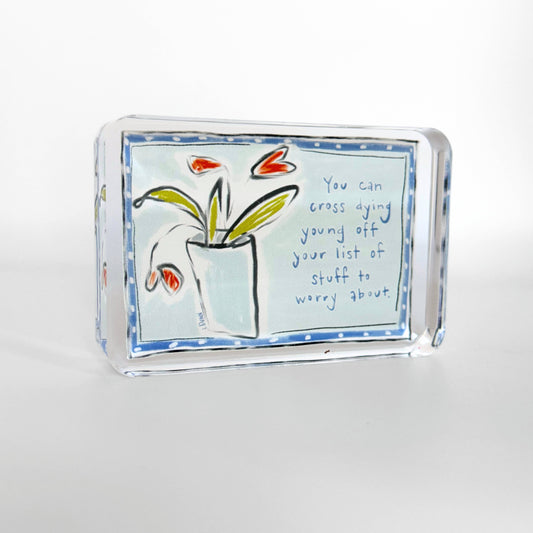 Acrylic Funny Block - Not a Worry