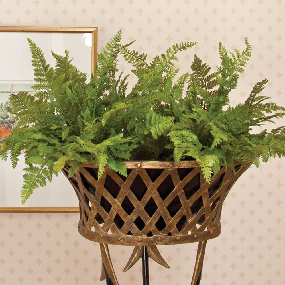 Drop-In - Soft Fern 10.5"