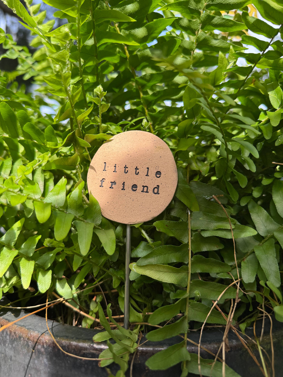 Plant Stake - Little Friend