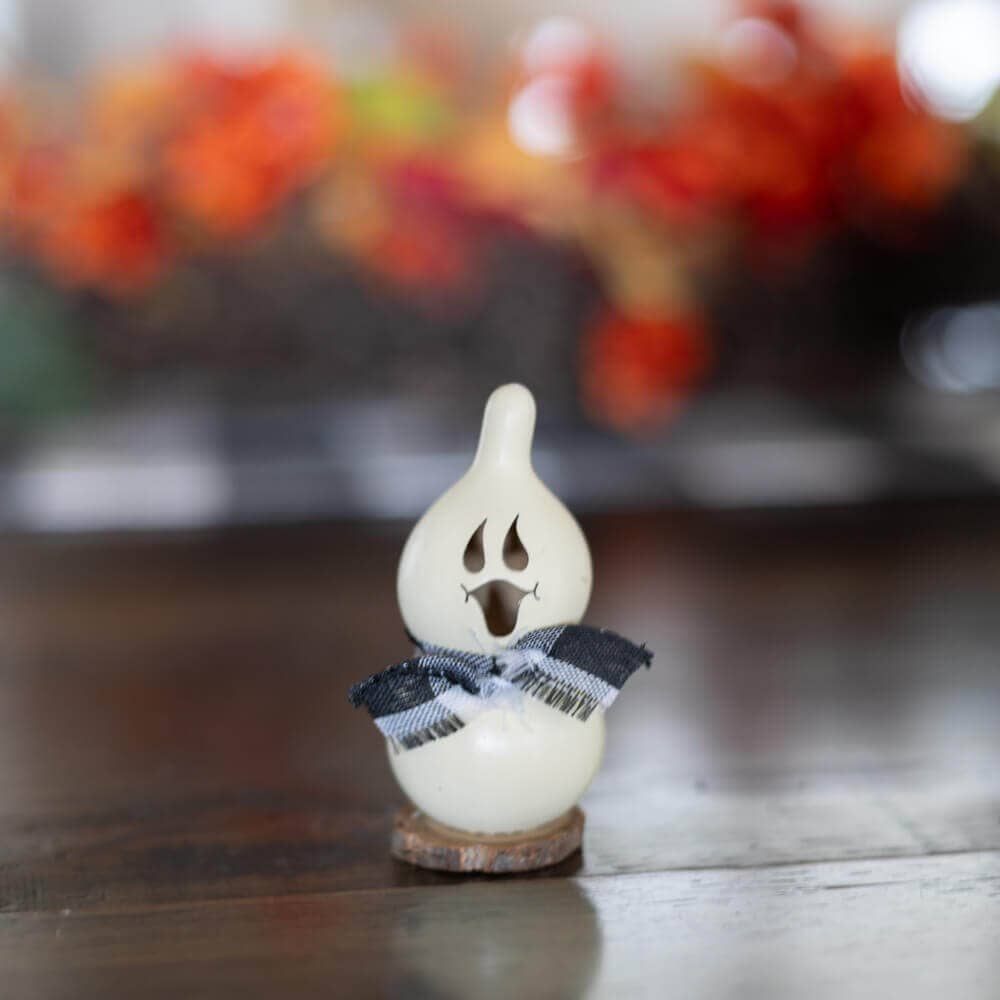 Gourd: Ghost - Lil Jake
