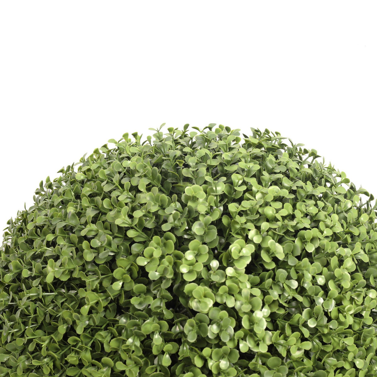 Botanical - UV Boxwood Ball 16 Inch