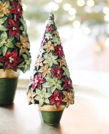 Tree:  Stargazer Cone