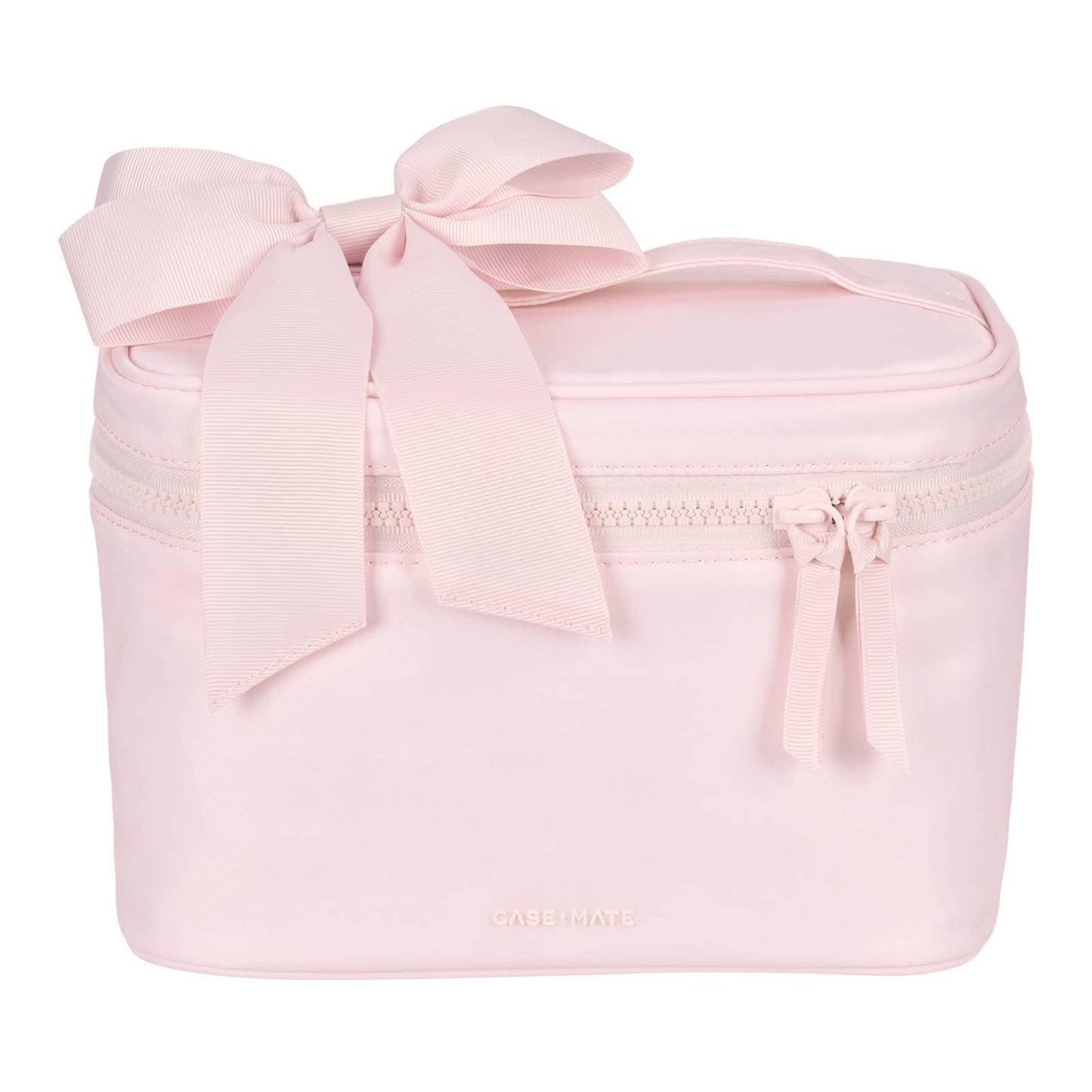 Train Case - Ballet Pink