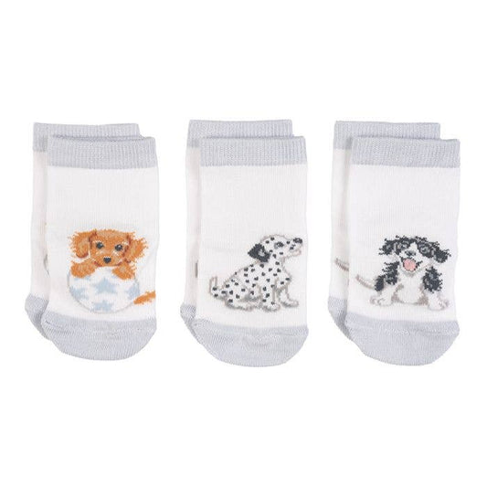 Baby Socks Set --Little Paws