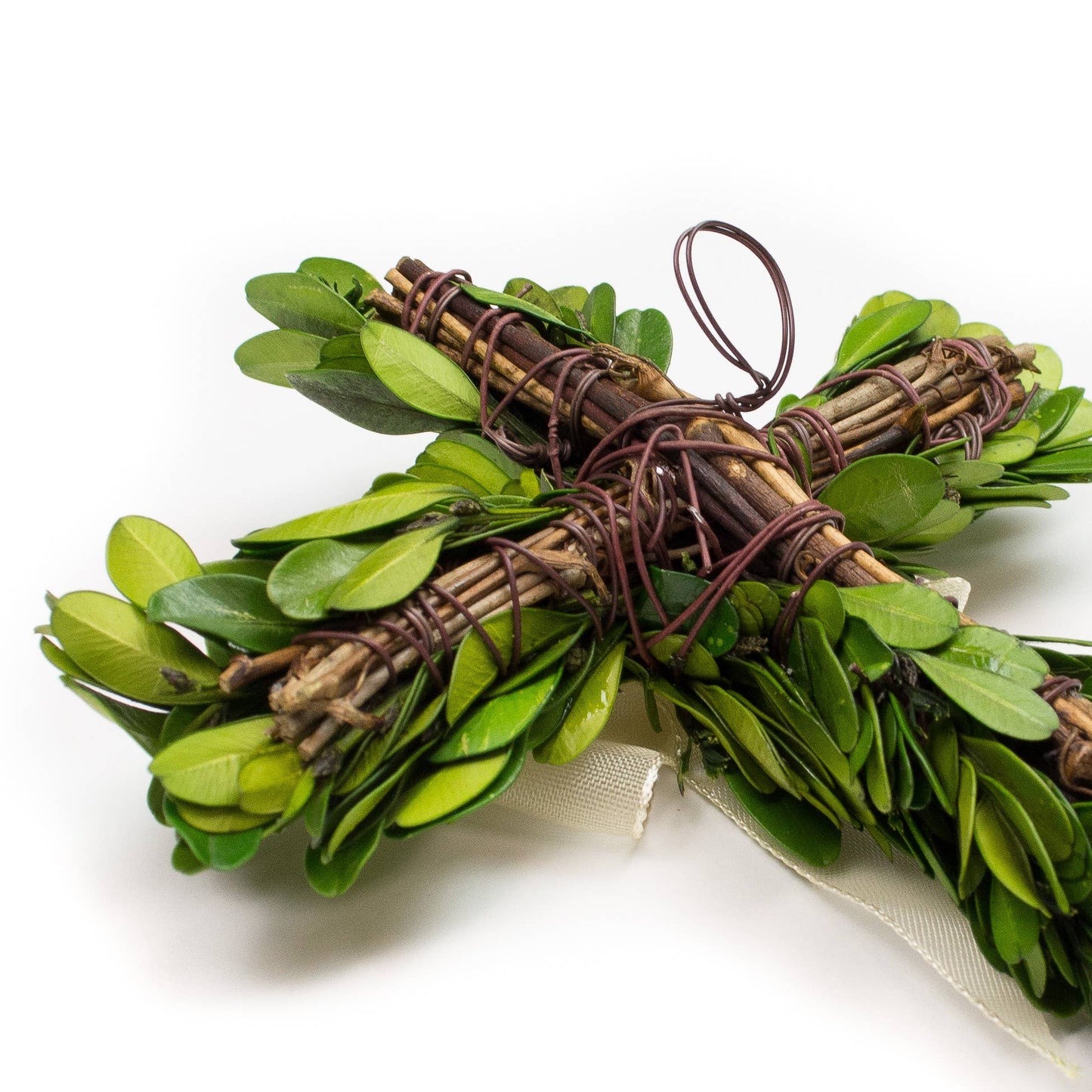Cross - Preserved Boxwood