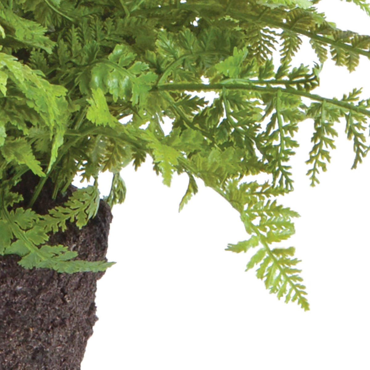 Drop-In - Soft Fern 10.5"