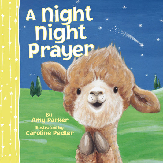 Night Night Prayer - Children's Board Book