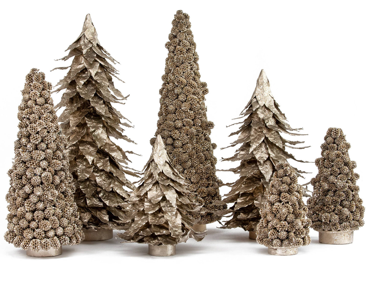 Tree:  Champagne Glittered Agoho