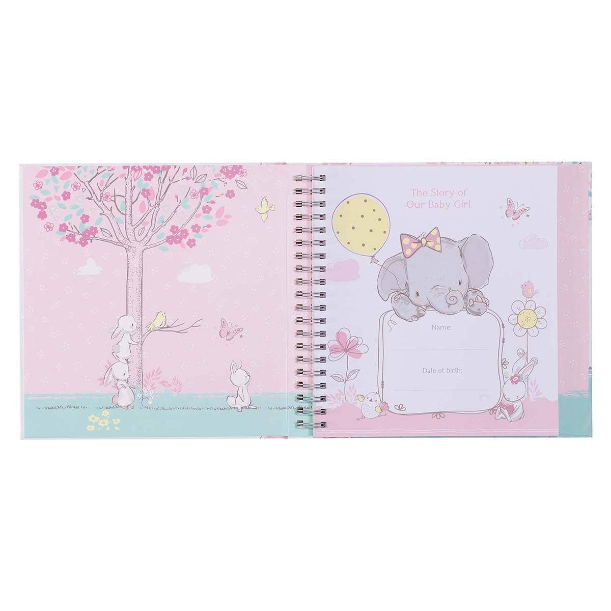 Memory Book - Our Baby Girl's First Year