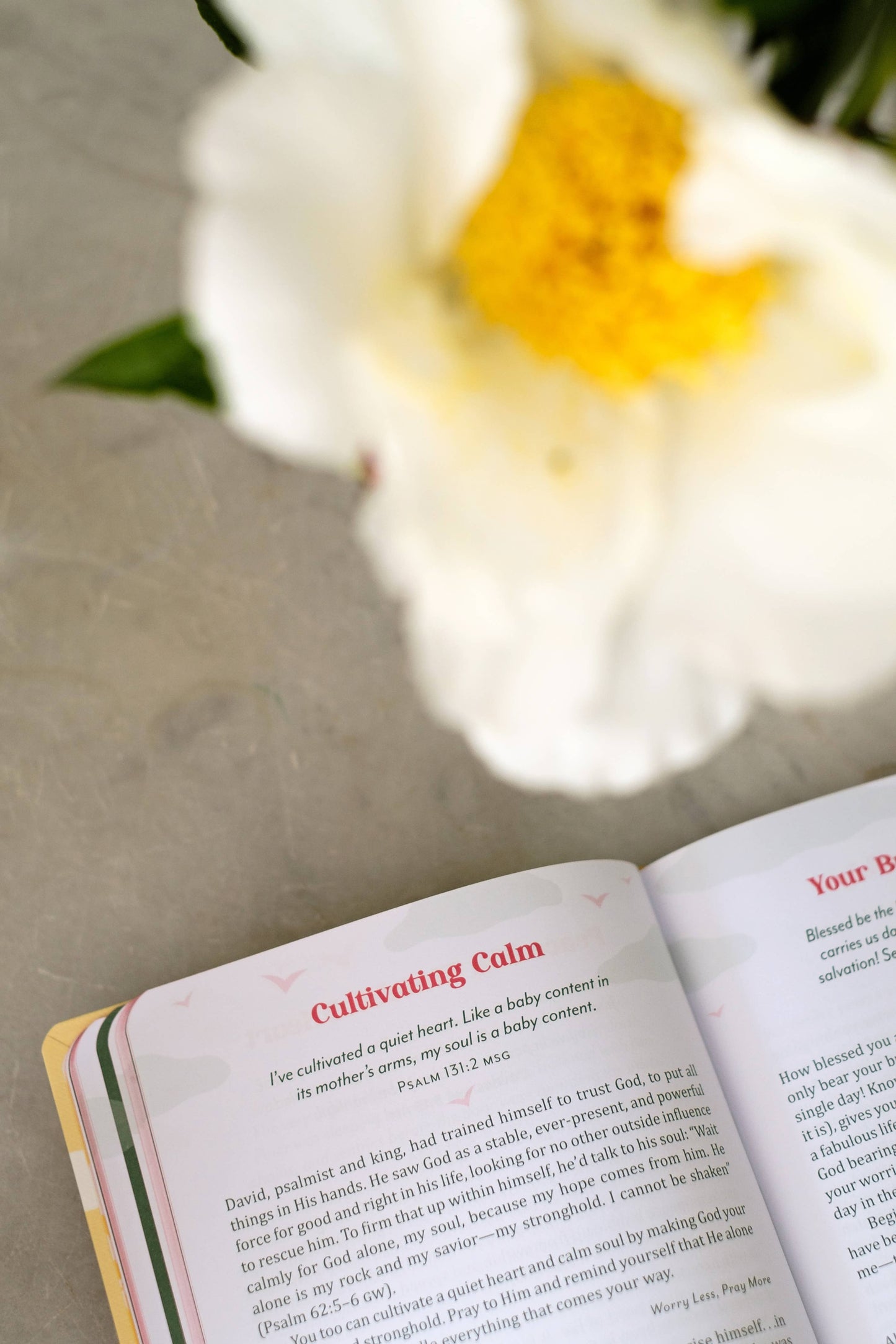 Devotional - Devotions & Prayers to Rest in God's Presence