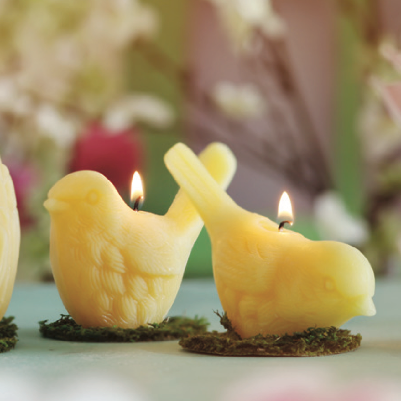 Candle (Beeswax): Song Bird
