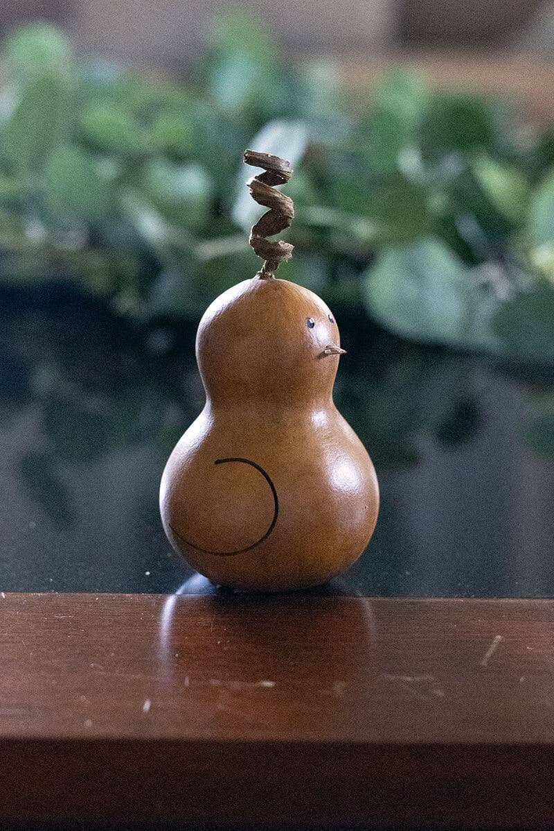 Gourd: Bird - Tilly - Limited Anniversary Release