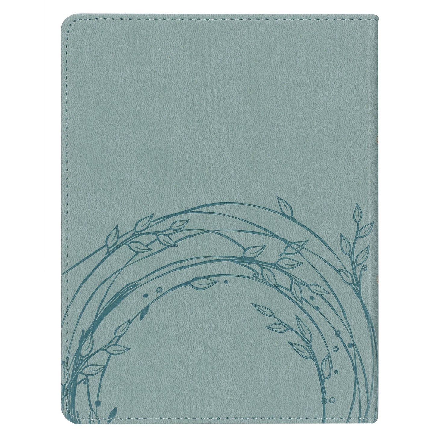 Devotional Daily Hope for  the Empty Nest Faux leather