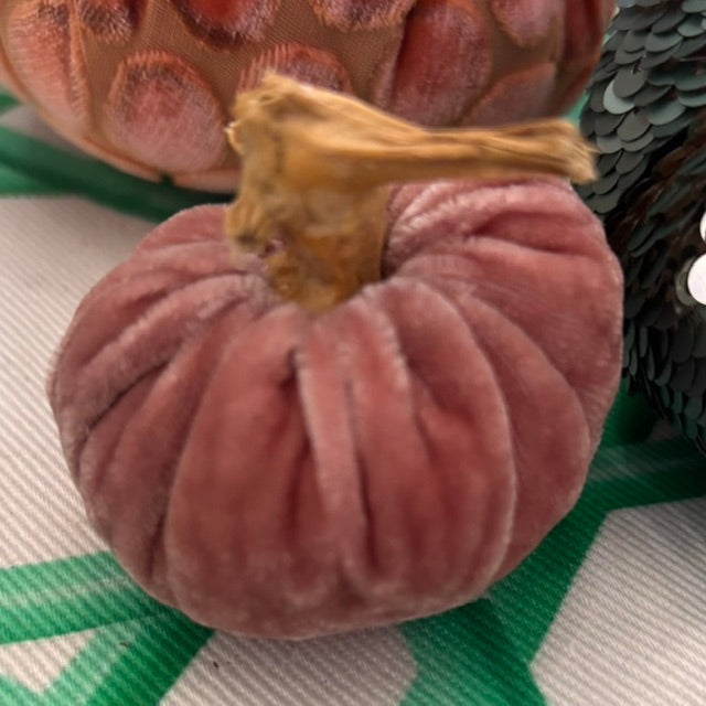 Plush Pumpkin - Solid Velvet - 2"