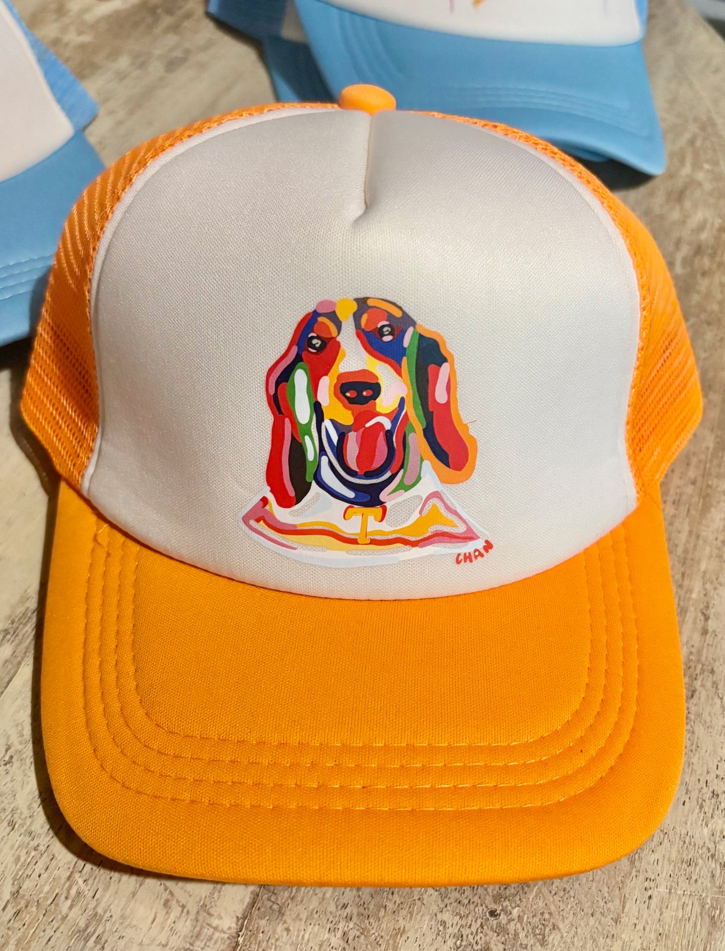 Tennessee - ChanArt hat