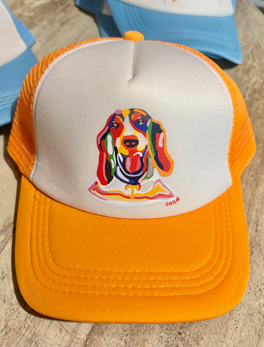 Tennessee - ChanArt hat