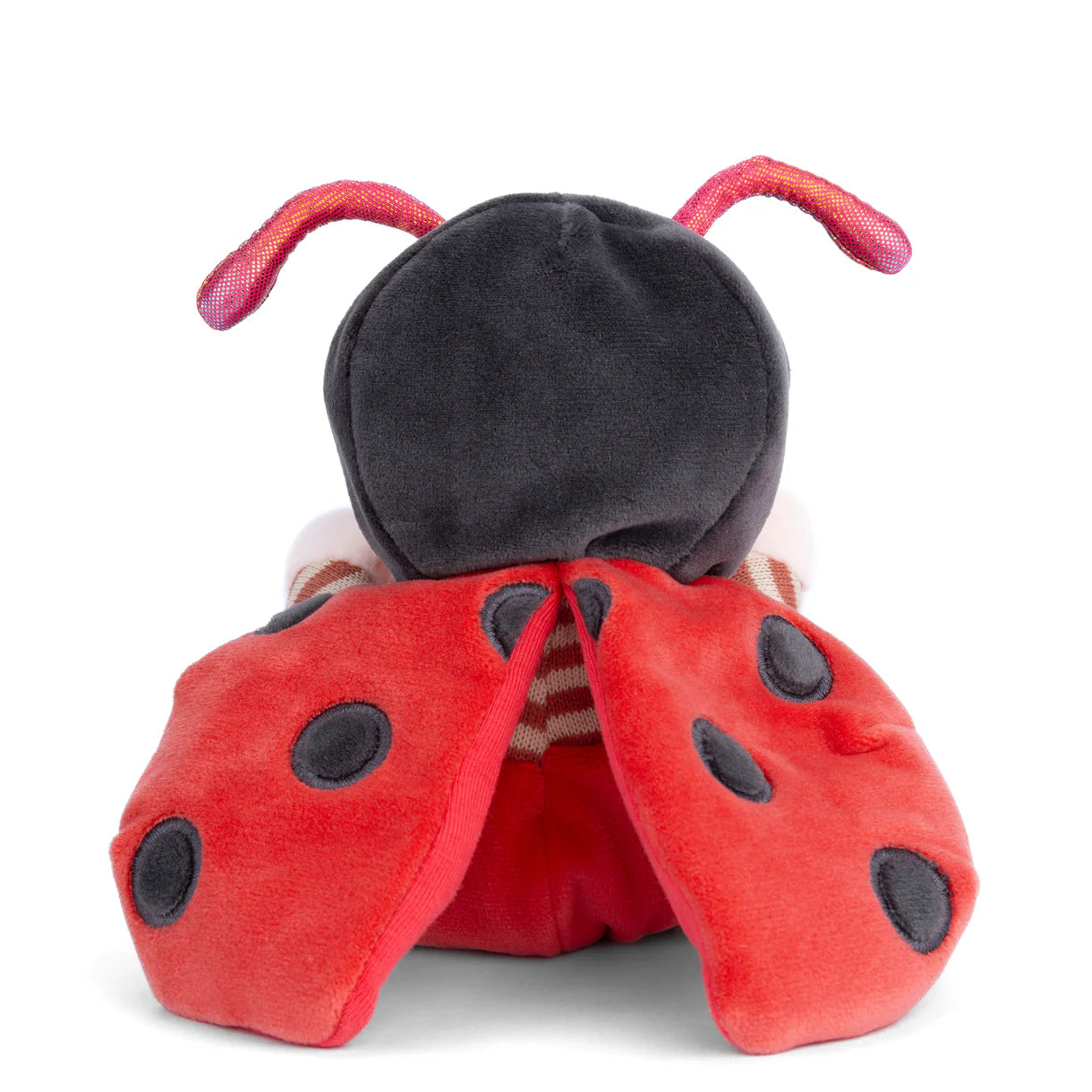 Ziggy ladybug