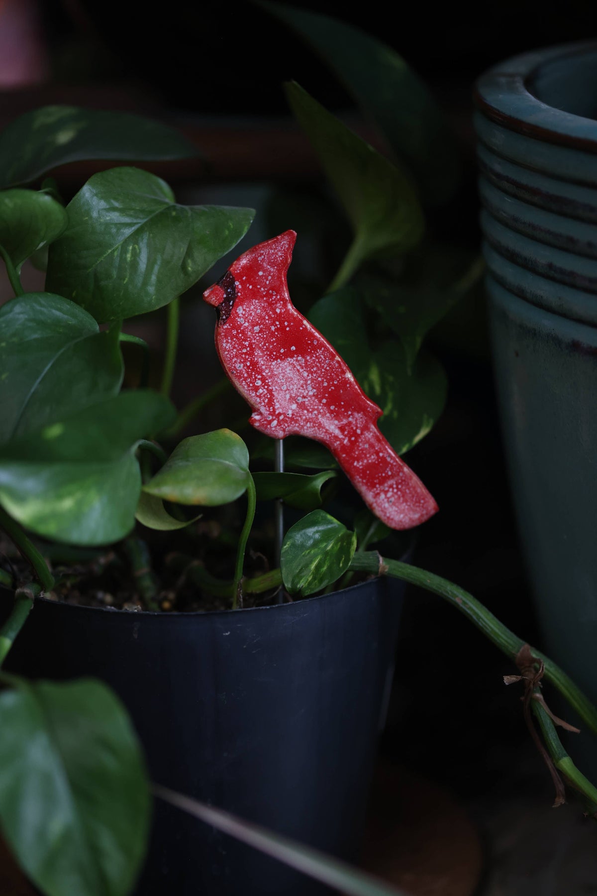 Plant Stake - Cardinal | Bird