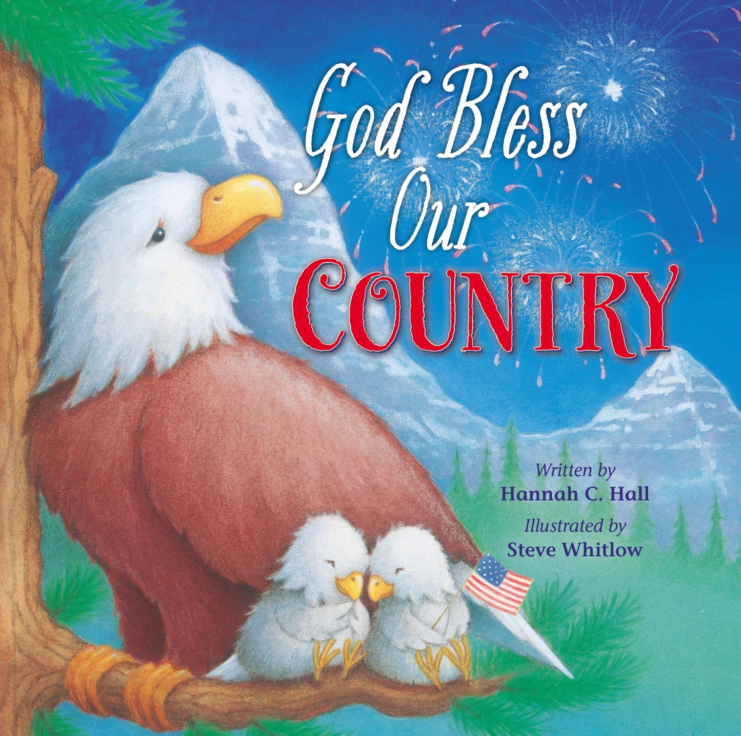 Book - God Bless Our Country - Board Book
