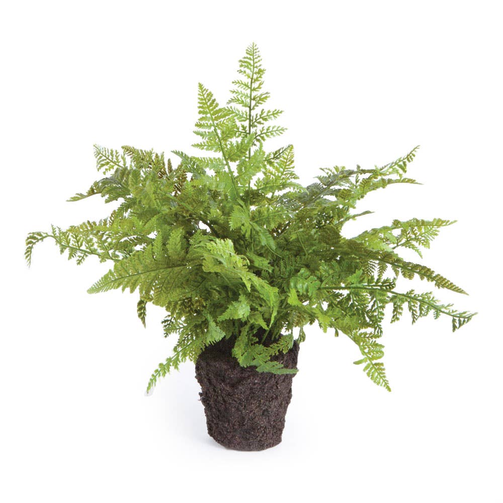 Drop-In - Soft Fern 10.5"