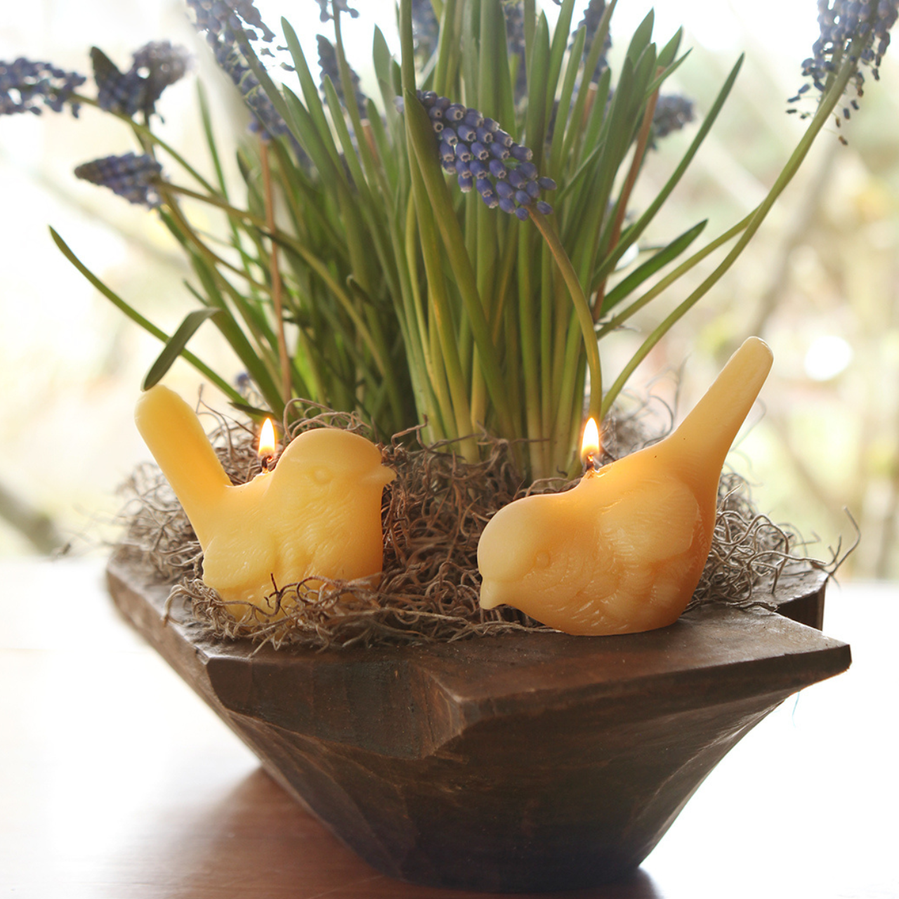 Candle (Beeswax): Song Bird