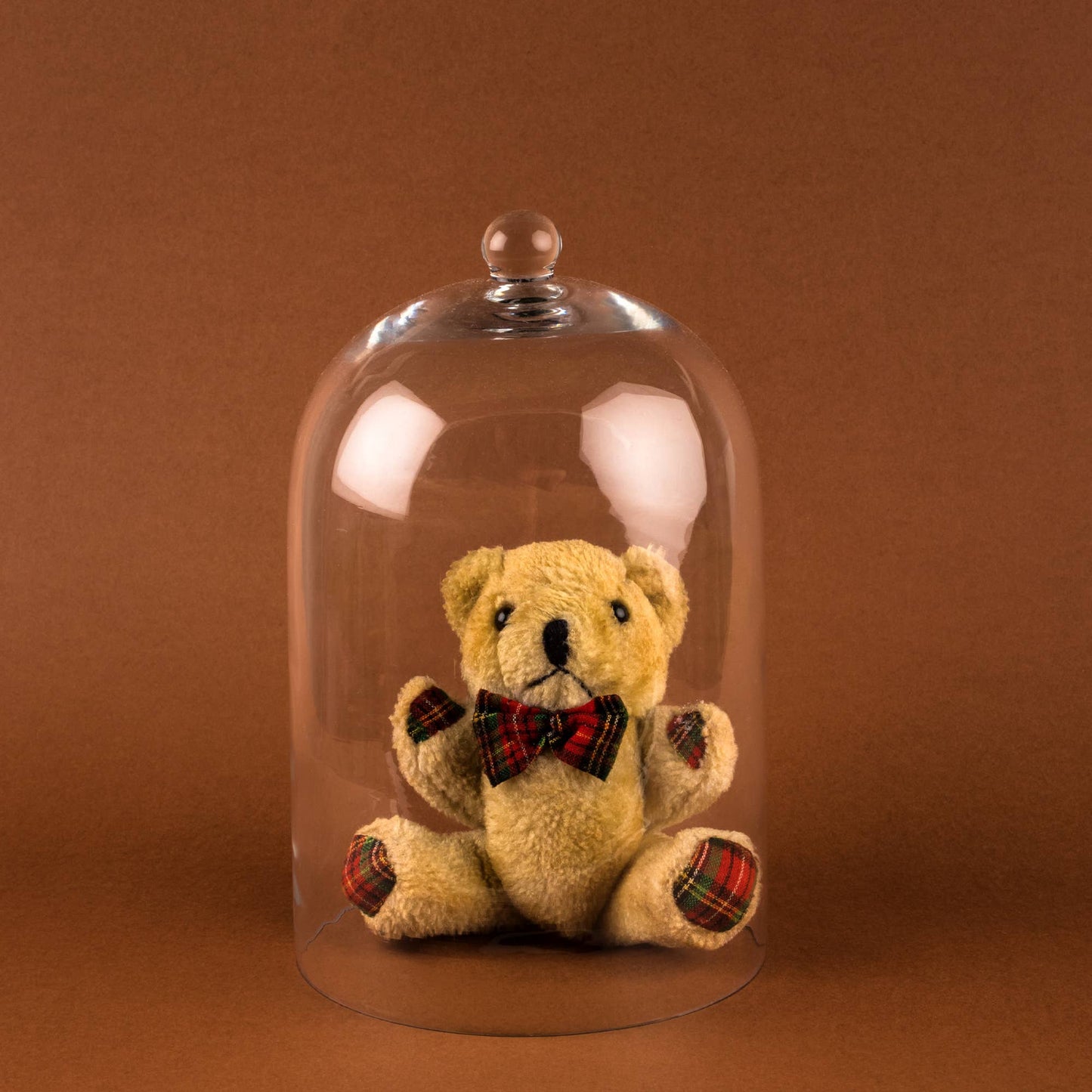 Candle  - Glass Cloche