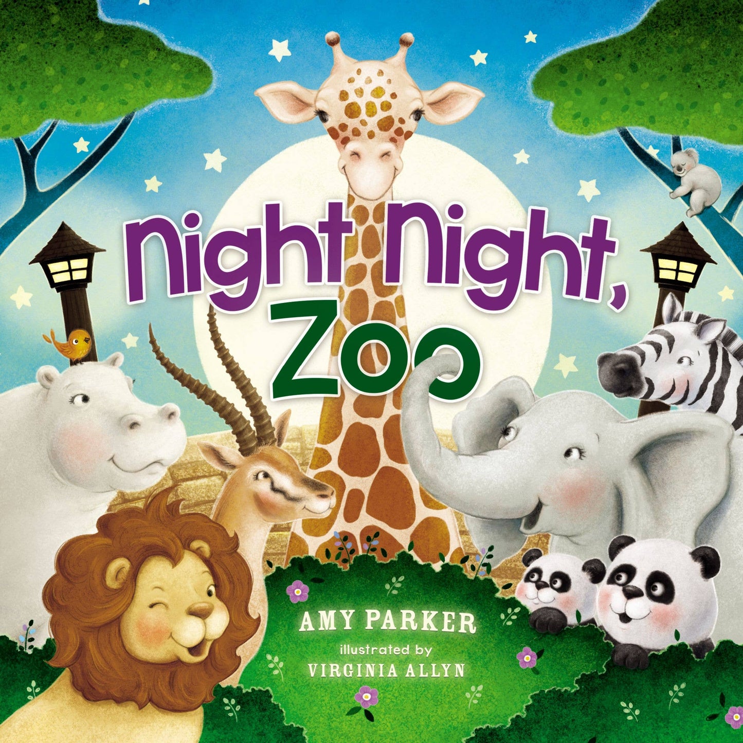 Book - Night Night Zoo - Board Book