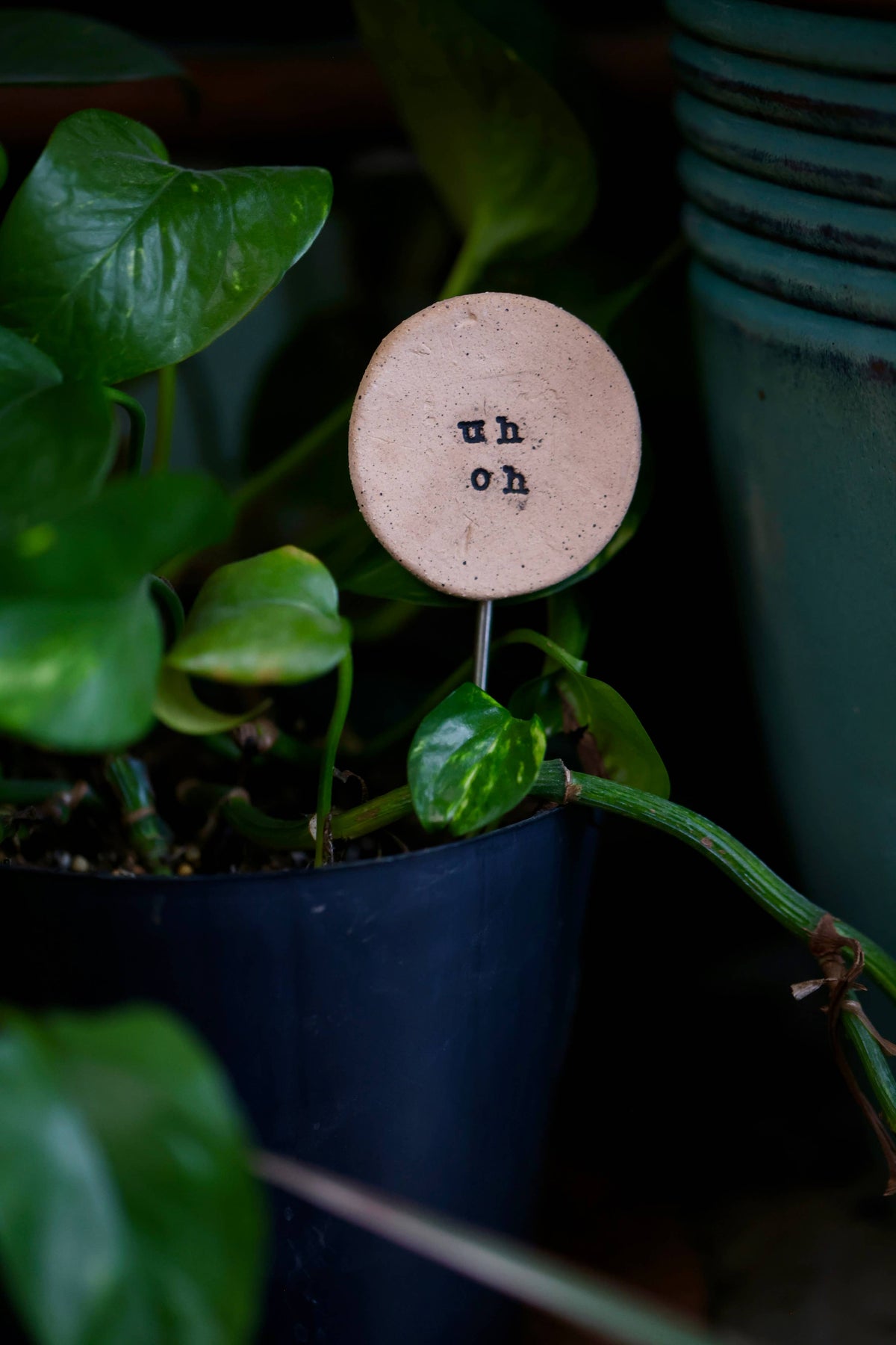 Plant Stake - Uh Oh